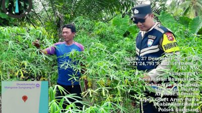 Bhabinkamtibmas Polsek Sungsang Galakkan Program P2B untuk Dukung Swasembada Pangan Nasional