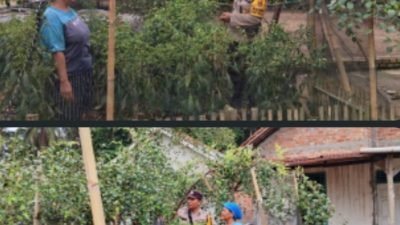 Bhabinkamtibmas Polsek Tanjung Lago Gelar Himbauan Dukung Swasembada Pangan