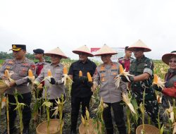 Kapolda Sumsel Didampingi Kapolres Ogan Ilir Salurkan Bantuan Sosial pada Acara Panen Raya Jagung Serentak