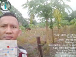 Dorong Ketahanan Pangan, Bhabinkamtibmas Polsek Talang Kelapa Sosialisasikan Program P2B