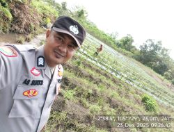 Bhabinkamtibmas Polsek Makarti Jaya Tinjau Lahan Cabai Warga dalam Program P2B