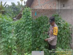Bhabinkamtibmas Polsek Muara Telang Gerakkan Warga Dukung Swasembada Pangan