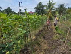 Bhabinkamtibmas Polsek Sungsang Ajak Warga Perkuat Ketahanan Pangan Melalui Program P2B