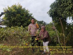Bhabinkamtibmas Polsek Talang Kelapa Ajak Warga Mulia Agung Perkuat Ketahanan Pangan