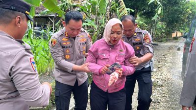 Aksi Cepat Kapolres Gunungkidul, Menolong Korban Laka Tunggal.