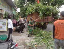 Antisipasi Pohon Tumbang, Babinsa Mangkubumen Pimpin Kerja Bakti Perempelan Ranting Pohon
