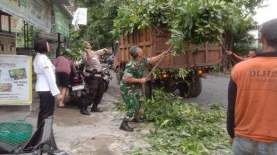 Antisipasi Pohon Tumbang, Babinsa Mangkubumen Pimpin Kerja Bakti Perempelan Ranting Pohon