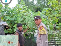 Bhabinkamtibmas Polsek Sungsang Ajak Warga Dukung Ketahanan Pangan Nasional