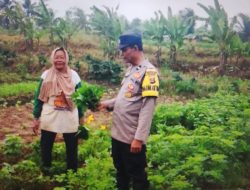 Bhabinkamtibmas Polsek Tanjung Lago Ajak Warga Muara Sugih Optimalkan Pekarangan Dukung Swasembada Pangan