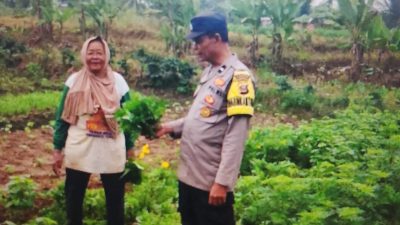 Bhabinkamtibmas Polsek Tanjung Lago Ajak Warga Muara Sugih Optimalkan Pekarangan Dukung Swasembada Pangan