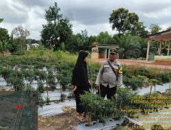 Bhabinkamtibmas Polsek Muara Padang Ajak Warga Margo Mulyo 20 Perkuat Kemandirian Pangan