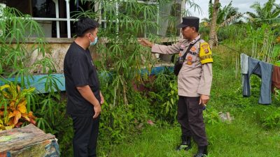 Sinergi di Tingkat Desa, Bhabinkamtibmas Polsek Muara Telang Dorong Warga Optimalkan Pekarangan