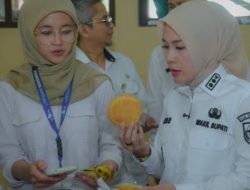 Untuk Memastikan MBG Sesuai Standar, Wakil Bupati Lakukan Monitoring Di Beberapa Sekolah