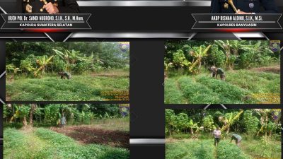 Bhabinkamtibmas Polsek Talang Kelapa Tinjau Lahan Ubi Rambat Warga, Perkuat Program P2B