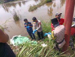 Kapolsek Rambutan Turun Langsung Terkait Ditemukannya Mayat Pria di Persawahan Sungai Pinang,