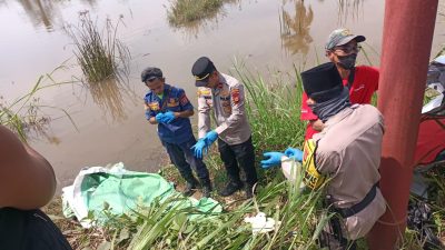 Kapolsek Rambutan Turun Langsung Terkait Ditemukannya Mayat Pria di Persawahan Sungai Pinang,