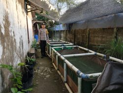 Bhabinkamtibmas Polsek Talang Kelapa Dampingi Warga Manfaatkan Lahan untuk Budidaya Ikan Lele