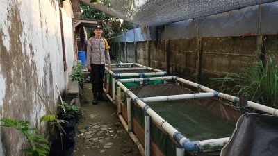Bhabinkamtibmas Polsek Talang Kelapa Dampingi Warga Manfaatkan Lahan untuk Budidaya Ikan Lele
