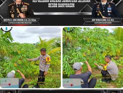 Bhabinkamtibmas Sungsang Gencarkan Sosialisasi P2B Dukung Swasembada Pangan Nasional