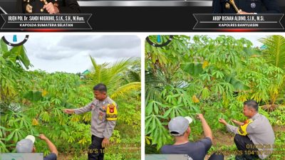 Bhabinkamtibmas Sungsang Gencarkan Sosialisasi P2B Dukung Swasembada Pangan Nasional