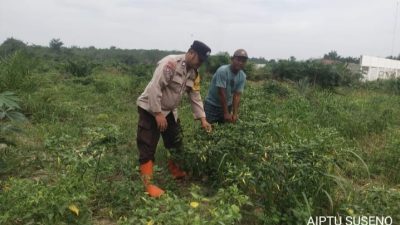 Bhabinkamtibmas Polsek Tungkal Ilir Ajak Warga Manfaatkan Pekarangan untuk Dukung Ketahanan Pangan