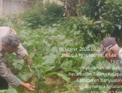 Bhabinkamtibmas Talang Kelapa Gencarkan Program Swasembada Pangan di Kelurahan Air Batu