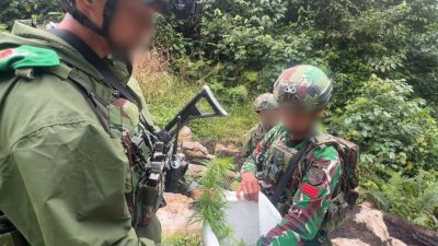 Satgas TNI-Polri Temukan Ladang Ganja di Papua
