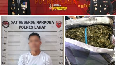 Tindak Tegas Peredaran Narkoba, Satresnarkoba Polres Lahat Tangkap Kurir Ganja di Angkot