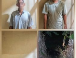 Polsek Tanjung Lago Bekuk Tiga Pelaku Pencurian 106 Batang Besi Pembangunan Koperasi