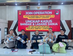 Operasi Gabungan Polda Sumsel Bongkar Ladang Ganja 20 Hektar di Empat Lawang, 220 Kg Ganja dan Bandar Utama Ditahan