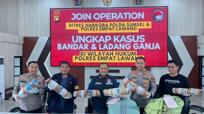 Operasi Gabungan Polda Sumsel Bongkar Ladang Ganja 20 Hektar di Empat Lawang, 220 Kg Ganja dan Bandar Utama Ditahan