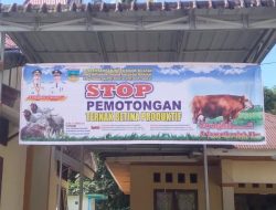 Pemkab Solsel Imbau Warga Tak Potong Betina Produktif Jelang Kurban