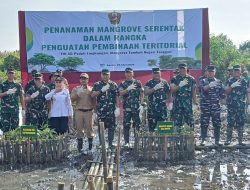 Peduli Lingkungan, TNI AD Tanam 1500 Pohon Mangrove Dipesisir Pemukiman Desa Pidodokulon