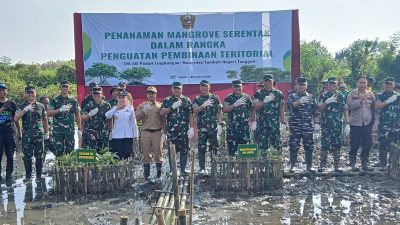 Peduli Lingkungan, TNI AD Tanam 1500 Pohon Mangrove Dipesisir Pemukiman Desa Pidodokulon