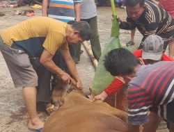 Idul Adha 1447 H Masjid Ar Rahman Gelar Qurban dan Bagikan kupon Daging pada masyarakat sekitar masjid Ar Rahman