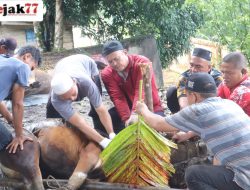 Polres Muaro Jambi sediakan hewan kurban sebanyak 6 ekor untuk dibagikan kepada masyarakat yang berhak menerima