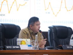 Kemendagri Minta Kepala Daerah Galakkan Gerakan Tanam Cabai untuk Kendalikan Harga