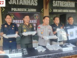 Benih Lobster Senilai Rp7,18 Miliar Diamankan Polresta Jambi, Ketidakjelasan Pelepasliaran Tuai Sorotan