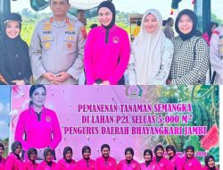 Kapolres Muaro Jambi AKBP Heri Supriawan, S.I.K., M.H. mendampingi Ketua Bhayangkari Daerah Jambi Ny. Evi Krisno dalam kegiatan panen buah semangka di Lahan Pekarangan Pangan Lestari