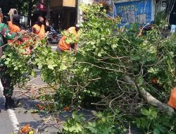 Babinsa Keprabon Sinergi Bersama Tim Saberling & Warga Wujudkan Kampung Bersih & Sehat