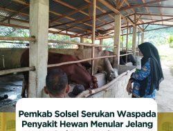 Pemkab Solsel Serukan Waspada Penyakit Hewan Menular Jelang Hari Raya Kurban