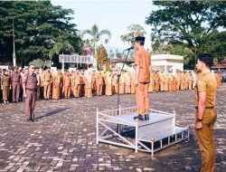 Wabup Yulian Efi: Masuknya TKD Jadi Momentum Percepatan Realisasi Program Daerah