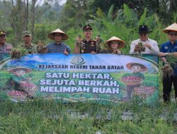 Panen Raya Bawang Merah di Pariangan Bukti Ketahanan Pangan Menguat, Kejari Tanah Datar Turun Langsung Dukung Petani