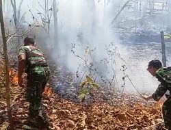 Anggota Koramil Lendah Padamkan Api Kebakaran Lahan Jati