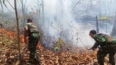 Anggota Koramil Lendah Padamkan Api Kebakaran Lahan Jati